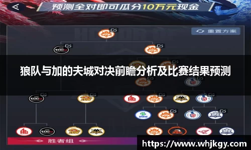 狼队与加的夫城对决前瞻分析及比赛结果预测